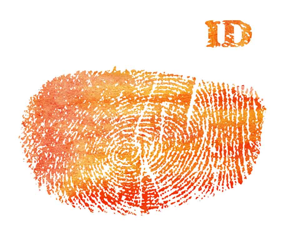 Bienvenue Sur Le Site Du Profilage Alimentaire Selon L approche De Taty Bienvenue Sur Le Site Du Profilage Alimentaire Selon L approche De Taty